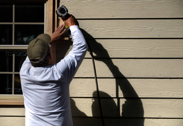 Best Steel Siding Installation  in Nogales, AZ