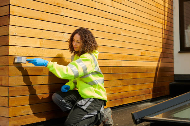 Best Stone Veneer Siding  in Nogales, AZ